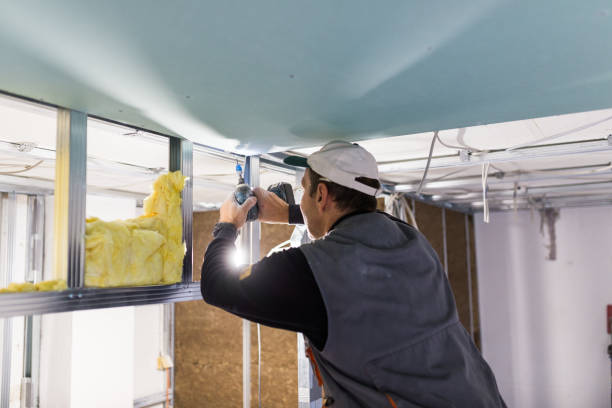 Types of Insulation We Offer in Lake Elsinore, CA