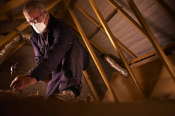 Best Specialized Insulation Services in Lake Elsinore, CA